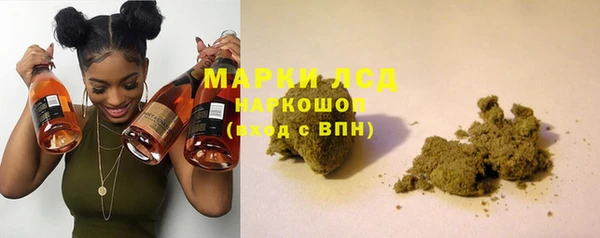 ГАЛЛЮЦИНОГЕННЫЕ ГРИБЫ Абаза