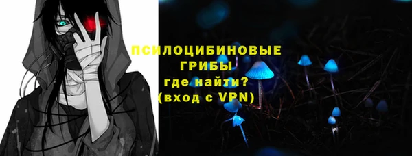 ГАЛЛЮЦИНОГЕННЫЕ ГРИБЫ Абаза