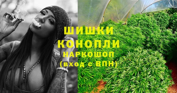 ГАЛЛЮЦИНОГЕННЫЕ ГРИБЫ Абаза