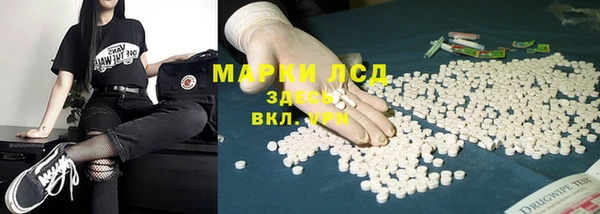 гашик Нефтекумск