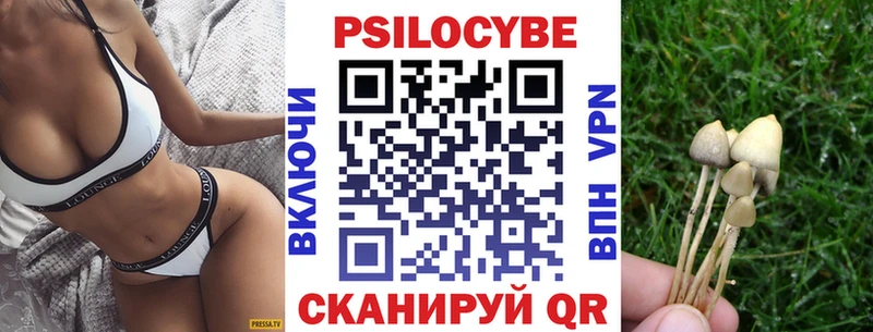 shop как зайти  Усолье  Галлюциногенные грибы Magic Shrooms 